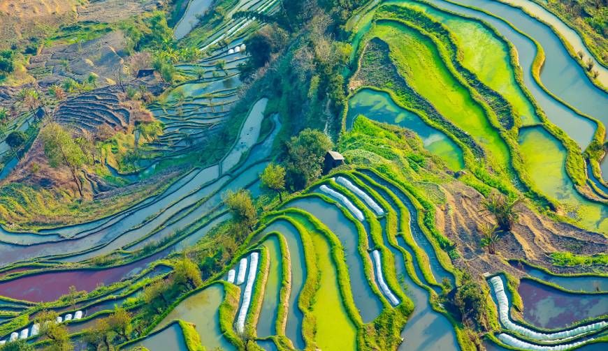 宝妈必备神器：昌江产品视频拍摄轻松育儿好帮手
