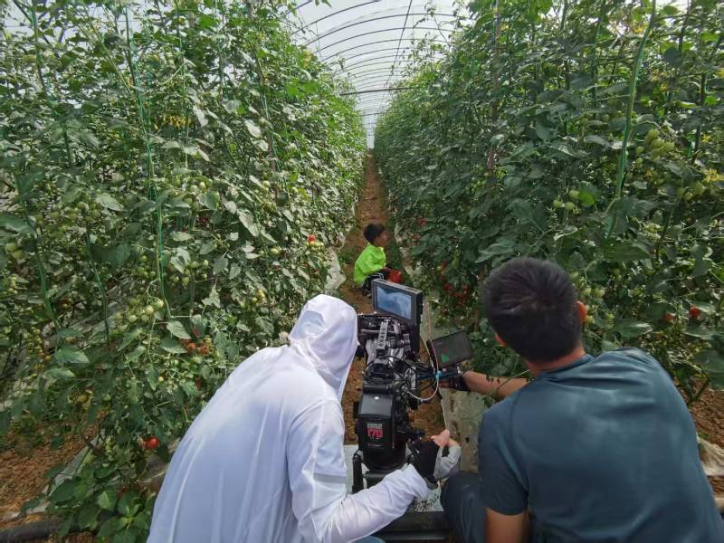 昌江产品宣传视频拍摄公司进阶指南，助力品牌抢占传播高地